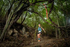 BIB: 
                            <button type="button" onclick="openModal(22179101)" class="btn btn-primary btn-sm float-right btn-popup" data-toggle="modal" data-target=".modal-high-quality">
                        <i class="fas fa-shopping-cart"></i> Add to Cart
                    </button>
                                            <button type="button" onclick="isThisMe(22179101, true)" class="btn btn-success btn-sm float-right btn-popup btn-isme hidden" data-toggle="tooltip" data-placement="bottom" title="นี่คือรูปของคุณใช่ไหม คลิกที่นี่เพื่อเอาเข้าอัลบั้ม">
                        <i class="fas fa-plus"></i> Add to album
                    </button>
                    <button type="button" onclick="isThisMe(22179101, false)" class="btn btn-warning btn-sm float-right btn-popup btn-isnotme hidden">
                        <i class="fas fa-ban"></i> Remove from album
                    </button>